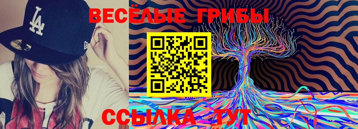 Галлюциногенные грибы мицелий Мичуринск